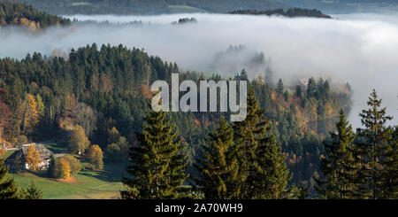 View to theTitisee in morning mist, with hills, Titisee-Neustadt, Black Forest, Baden-Wurtemberg, Germany Stock Photo