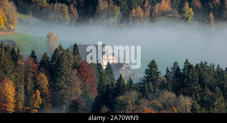 View to theTitisee in morning mist, with hills, Titisee-Neustadt, Black Forest, Baden-Wurtemberg, Germany Stock Photo