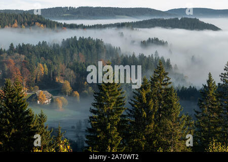 View to theTitisee in morning mist, with hills, Titisee-Neustadt, Black Forest, Baden-Wurtemberg, Germany Stock Photo