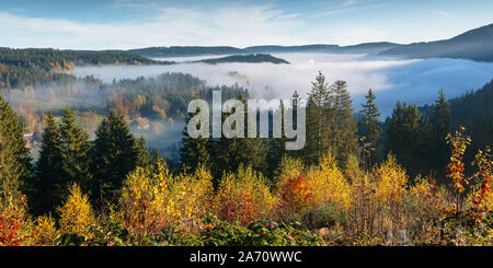 View to theTitisee in morning mist, with hills, Titisee-Neustadt, Black Forest, Baden-Wurtemberg, Germany Stock Photo