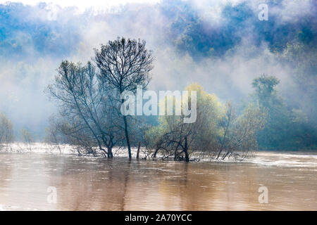 Mist rising over the River Wye in flood by the B4234 on 28.10.2019 near Kerne Bridge, Herefordshire UK - Flooding was caused by heavy rain in Wales. Stock Photo