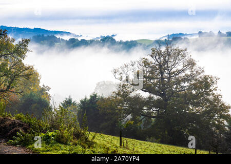 Morning autumn mist in the Wye Valley looking towards Lower Lydbrook, Gloucestershire UK Stock Photo