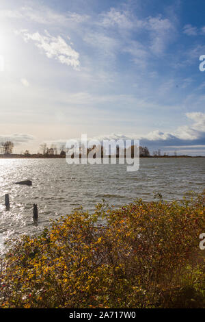 High tide and autumn colours at the Britannia Ship Yard in Steveston British Columbia Canada Stock Photo