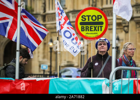 London, UK, 29th Oct 2019. A remain protester with Stop Brexit lollipop sign. Pro and Anti-Brexit protesters  have once again brought out placards, banners and flags to the Houses of Parliament, as MPs debate and vote on a possible general election inside the Palace of Westminster. Credit: Imageplotter/Alamy Live News Stock Photo