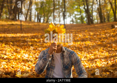 Man hiding his face behind yellow maple leaves. Autumn sunny park. Fall male moody portrait. Stock Photo