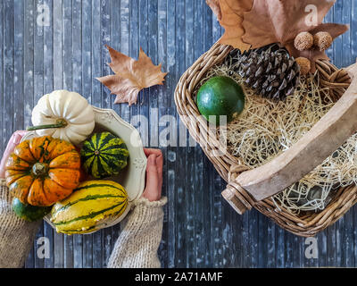 Top view of autumn composition. Woman holding a vintage bowl with assorted pumpkins, dry leaves, pine cones and wicker basket on blue background Stock Photo
