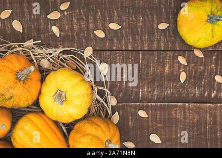 Close-up photo with mini pumpkins and seeds on rustic wooden background, overhead view with copy space. Autumn concept background. Stock Photo