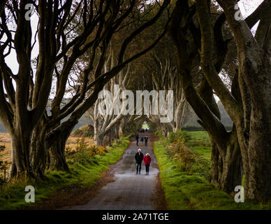 The Dark Hedges near Ballymoney, County Antrim, Northern Ireland: two walkers stroll through the tunnel of gnarled beech trees arching over Bregagh Road. The roughly 150 trees were planted around 1775 by James Stuart as an avenue leading to his estate, Gracehill House, and served as the filming location for the "King's Road" in the television series "Game of Thrones." Stock Photo