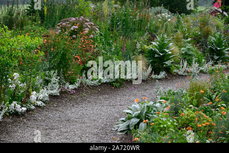 path,edged with,Artemeisia,silver foliage,Hunting Brook Gardens,Wicklow,Ireland,Jimi Blake,Plantsman,Garden,gardens,mixed planting scheme,tender Stock Photo