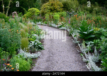 path,edged with,Artemeisia,silver foliage,Hunting Brook Gardens,Wicklow,Ireland,Jimi Blake,Plantsman,Garden,gardens,mixed planting scheme,tender Stock Photo