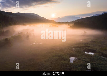 Fog covering plants on wetland and swamp of Pian di Gembro Nature Reserve, aerial view, Aprica, Valtellina, Lombardy, Italy