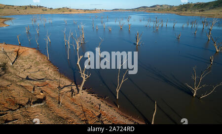 Low water leve reveals trees drowned by filling of Hume Reservoir in the 1930’s Stock Photo