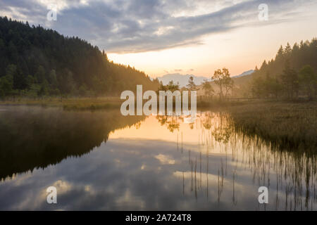 Sunrise over trees mirrored in swamp, Pian di Gembro Nature Reserve, aerial view, Aprica, Valtellina, Lombardy, Italy