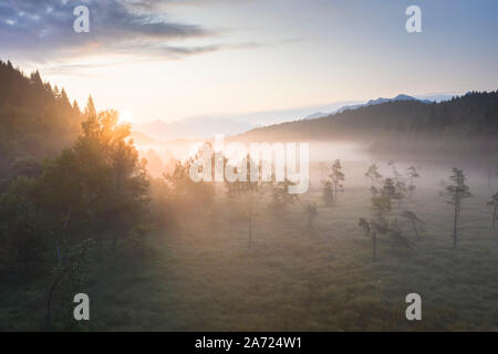 Sun rays at sunrise on fog covering the wetland of Pian di Gembro Nature Reserve, aerial view, Aprica, Valtellina, Lombardy, Italy Stock Photo