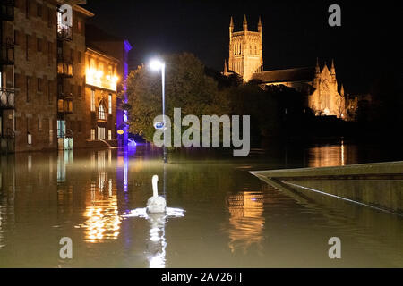 Climate change Worcester Cathederal, Worcester City, England, United Kingdom, 29/07/2019 . Flooded River Severn from Sabrina Bridge. Flood Peak Stock Photo