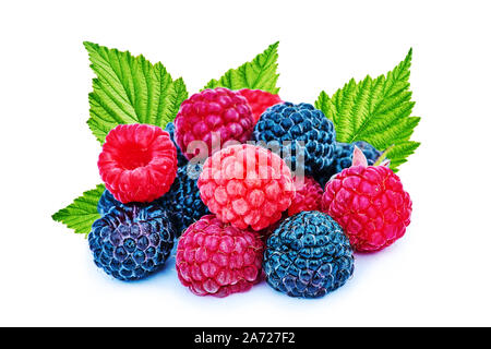 Mix berries with leaf. Various fresh berries isolated on white background. Raspberry, Blackberry. Stock Photo