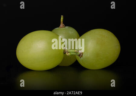 Group of three whole green table grapes isolated on black glass Stock Photo