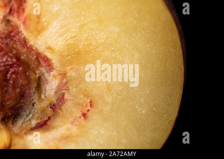 One half of ripened fresh red plum isolated on black glass Stock Photo