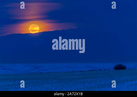 The “Super” Snow Moon of February 19, 2019, rising in the northeast over a snowy prairie field and distant rangeland hills in southern Alberta.  This Stock Photo