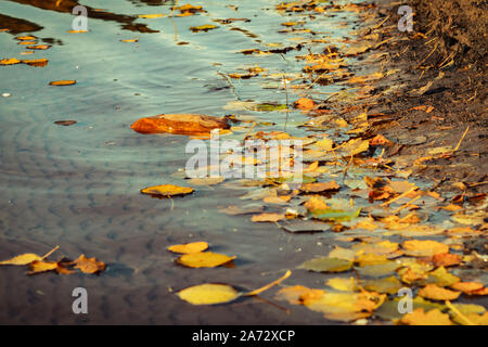 Lake shore with yellowed leaves. Visible delicate waves and beautiful wavy bottom. Beautiful autumn calm view. Stock Photo
