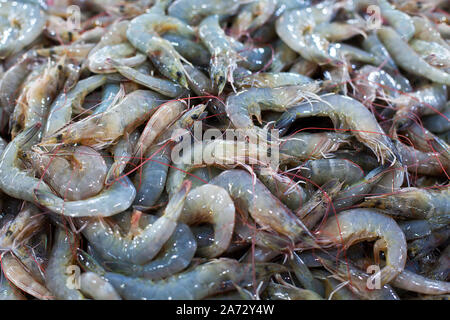 Fresh prawn shrimp on the market Stock Photo - Alamy