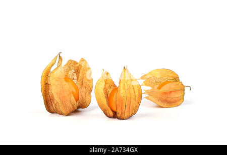 Three physalis berries isolated on a white background. Close up. Copy space. Stock Photo