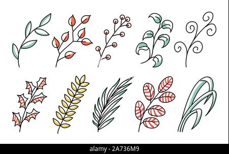 collection forest fern art foliage natural leaves herbs in line style. Decorative beauty elegant illustration for design Vector flower Stock Vector