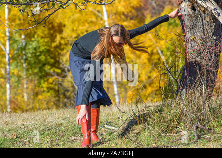 Young brunette woman on autumn mountain meadow, taking something from the ground next to the wild apple tree, with autumn birch forest in background Stock Photo