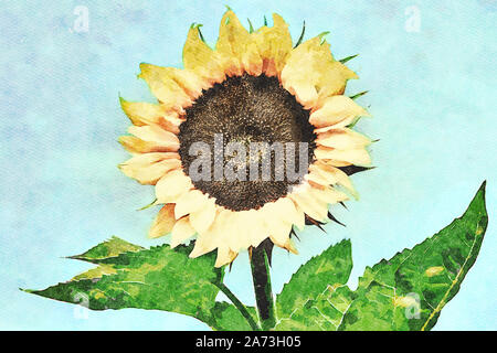 Digital art painting canvas - Beautiful blooming sunflower with leaves in close-up (watercolor effect) Stock Photo