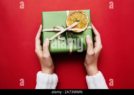 Close-up of Christmas present decorated fir branch and dried orange in female hands isolated on red background Stock Photo