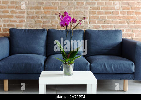 Living room table with orchid flowerpot. Purple orchid flower on the table in modern interior design. Stock Photo