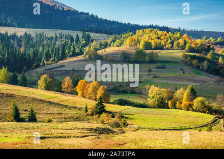 sunny autumnal rural scenery in mountains. beautiful landscape with rolling hills. trees in colorful foliage Stock Photo