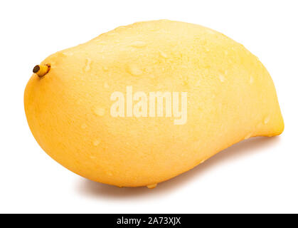 yellow mango path isolated on white Stock Photo