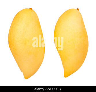 yellow mango path isolated on white Stock Photo