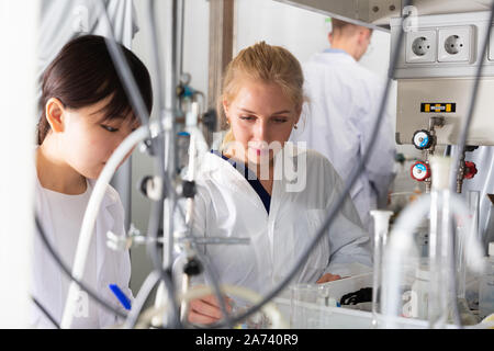 Young Caucasian and Asian students engaged in research at chemical lab Stock Photo