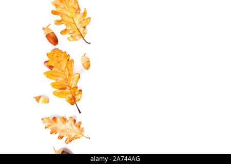 Autumn fall leaves from trees, rose hip. flat lay, top view. Composition for your design. Stock Photo