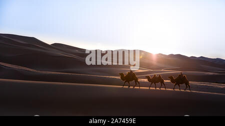 Nomadic married couple crossing huge sand dunes with their bactrian camel caravan at sunrise. Gobi desert, Mongolia. Stock Photo