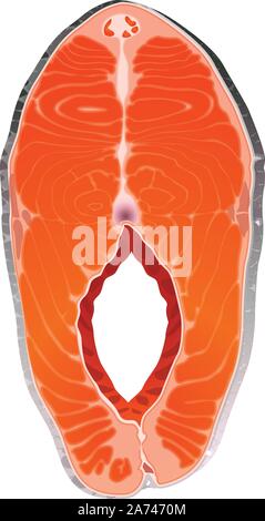 picture of fish slice Stock Vector