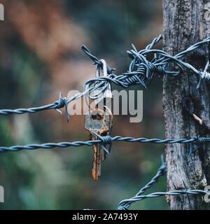 old key abandoned in the barbed wire fence in the nature Stock Photo