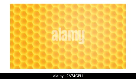 honeycomb wide back Stock Vector
