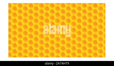 honeycomb wide back Stock Vector