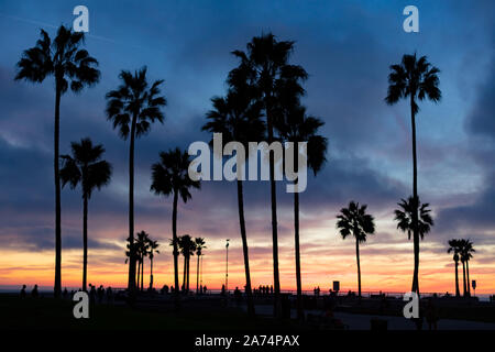 Venice Beach Sunset in Los Angeles USA Stock Photo