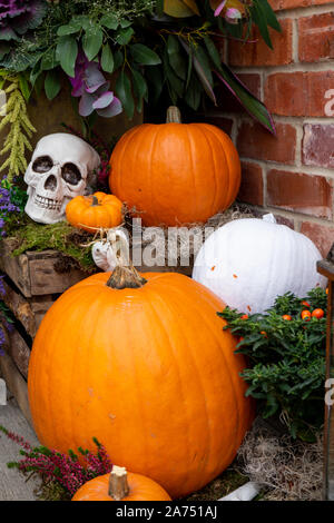 A Halloween display on a porch with pumpkins and skulls Stock Photo