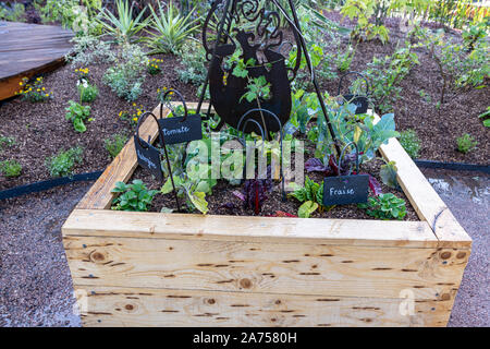 Plantations in a wooden bin, spring, Pas de Calais, France Stock Photo
