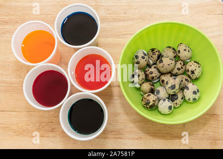 Coloring quail eggs with natural dyes for Easter, spring, Pas de Calais, France Stock Photo