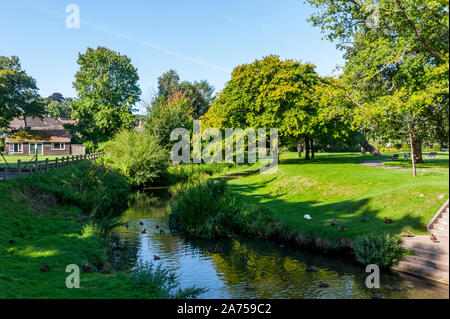 The river Wey in Gostrey Meadows Farnham Surrey Stock Photo