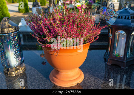 Purple heather flower in a pot standing on a tombstone at a Christian cemetery. Stock Photo