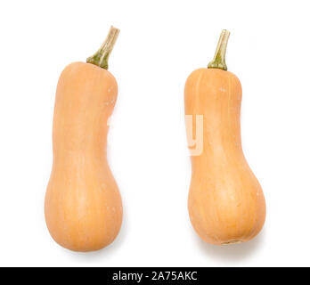 Top view two whole pumpkins against white background. Autumn harvest. Stock Photo