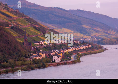 Rhineland town of Lorch at foot of sloping vineyards in autumn, Germany Stock Photo