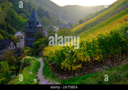 Path through sloping vineyards in autumn at Bacharach, Germsny Stock Photo